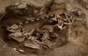 The most ancient evidence of horsemanship in the bronze age