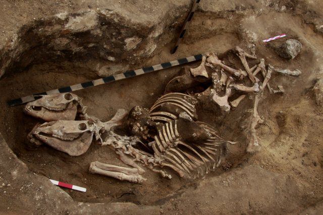 The most ancient evidence of horsemanship in the bronze age