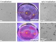 To engineers surprise radiation can slow corrosion of some materials