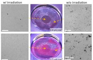 To engineers surprise radiation can slow corrosion of some materials