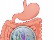 Unparalleled inventory of the human gut ecosystem
