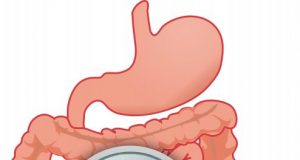 Unparalleled inventory of the human gut ecosystem