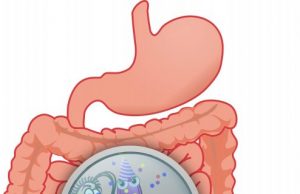 Unparalleled inventory of the human gut ecosystem