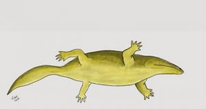 Wrong number of fingers leads down wrong track