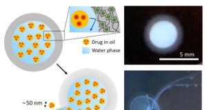 A new platform for controlled delivery of key nanoscale drugs and more