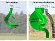 Advanced biofuels show real promise for replacing some fossil fuels