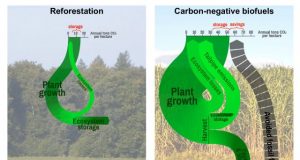 Advanced biofuels show real promise for replacing some fossil fuels