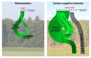 Advanced biofuels show real promise for replacing some fossil fuels
