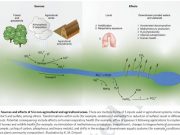 Agriculture replaces fossil fuels as largest human source of sulfur to the environment