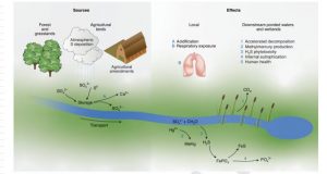 Agriculture replaces fossil fuels as largest human source of sulfur to the environment