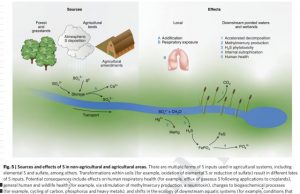 Agriculture replaces fossil fuels as largest human source of sulfur to the environment