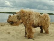 Ancient genomes suggest woolly rhinos went extinct due to climate change not overhunting