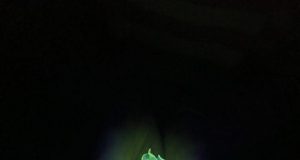 Chemists create the brightest ever fluorescent materials