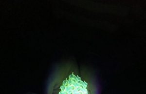 Chemists create the brightest ever fluorescent materials