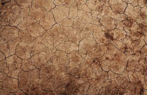 Climate change and land use are accelerating soil erosion by water