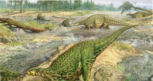 First complete dinosaur skeleton ever found is ready for its closeup at last