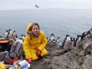 First genome comparison gives insight into penguin origins evolution 1