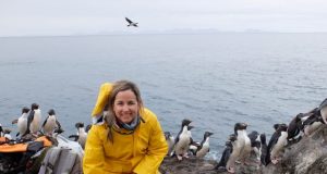 First genome comparison gives insight into penguin origins evolution 1