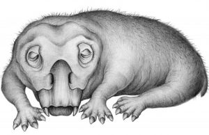 Fossil evidence of hibernation like state in 250 million year old Antarctic animal