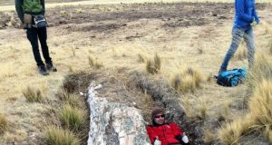 Fossil trees on Perus Central Andean Plateau tell a tale of dramatic environmental change