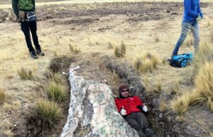 Fossil trees on Perus Central Andean Plateau tell a tale of dramatic environmental change
