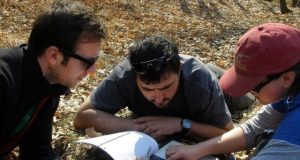 Fossils reveal diversity of animal species roaming Europe 2 million years ago