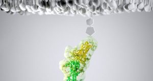 How bacteria adhere to fiber in the gut