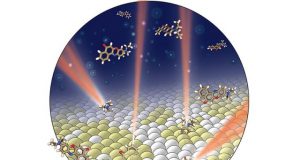 New imaging technique helps resolve nanodomains chemical composition in cell membranes