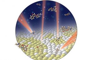 New imaging technique helps resolve nanodomains chemical composition in cell membranes