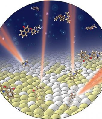 New imaging technique helps resolve nanodomains, chemical composition in cell membranes New imaging technique helps resolve nanodomains chemical composition in cell membranes