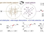 New method for late stage functionalization of carbon hydrogen bonds