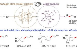 New method for late stage functionalization of carbon hydrogen bonds