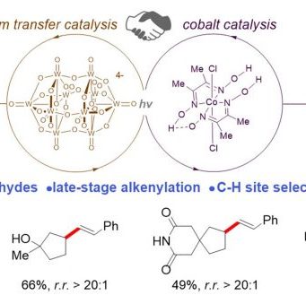 New method for late-stage functionalization of carbon-hydrogen bonds New method for late stage functionalization of carbon hydrogen bonds