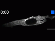 New tools catch and release molecules at the flip of a light switch