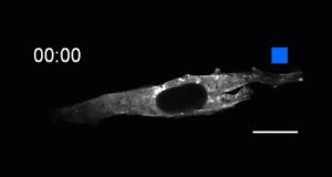 New tools catch and release molecules at the flip of a light switch