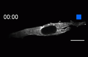 New tools catch and release molecules at the flip of a light switch
