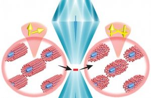 Researchers discover superconductor with unexpected lattice configuration