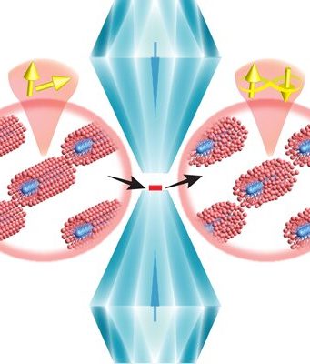 Researchers discover superconductor with unexpected lattice configuration Researchers discover superconductor with unexpected lattice configuration