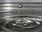 Scientists decry federal rule that removes protection from unconnected streams and wetlands