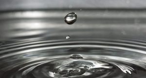 Scientists decry federal rule that removes protection from unconnected streams and wetlands