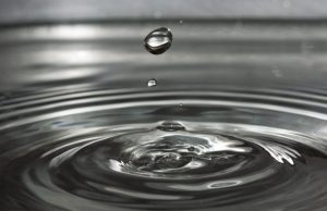 Scientists decry federal rule that removes protection from unconnected streams and wetlands