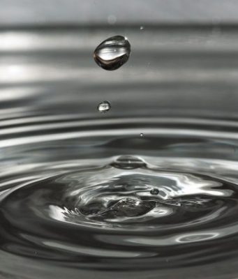 Scientists decry federal rule that removes protection from ‘unconnected’ streams and wetlands Scientists decry federal rule that removes protection from unconnected streams and wetlands