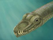 Super long necked reptiles lived in the ocean not on land