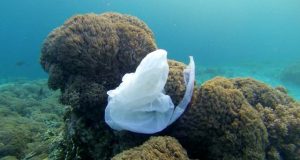 Surface clean up technology wont solve ocean plastic problem