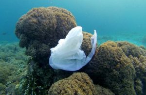 Surface clean up technology wont solve ocean plastic problem
