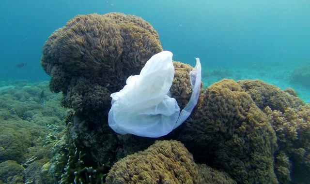 Surface clean up technology wont solve ocean plastic problem