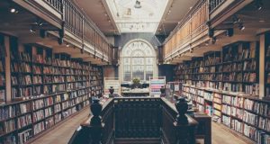 Systemic racism has consequences for all life in cities