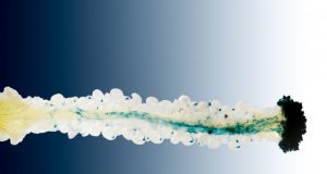 Team discovers a new role for a well known molecule as a plant hormone