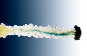 Team discovers a new role for a well known molecule as a plant hormone