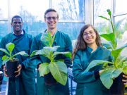 Third breakthrough demonstrates photosynthetic hacks can boost yield conserve water